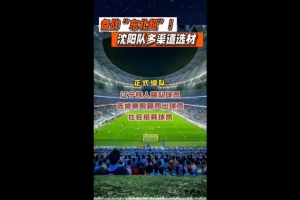 “东北超”沈阳队以辽宁铁人梯队球员为主体，并采取多渠道选材