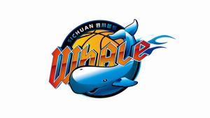 进攻乏力！四川全场53投16中&三分20中4 仅拿到51分